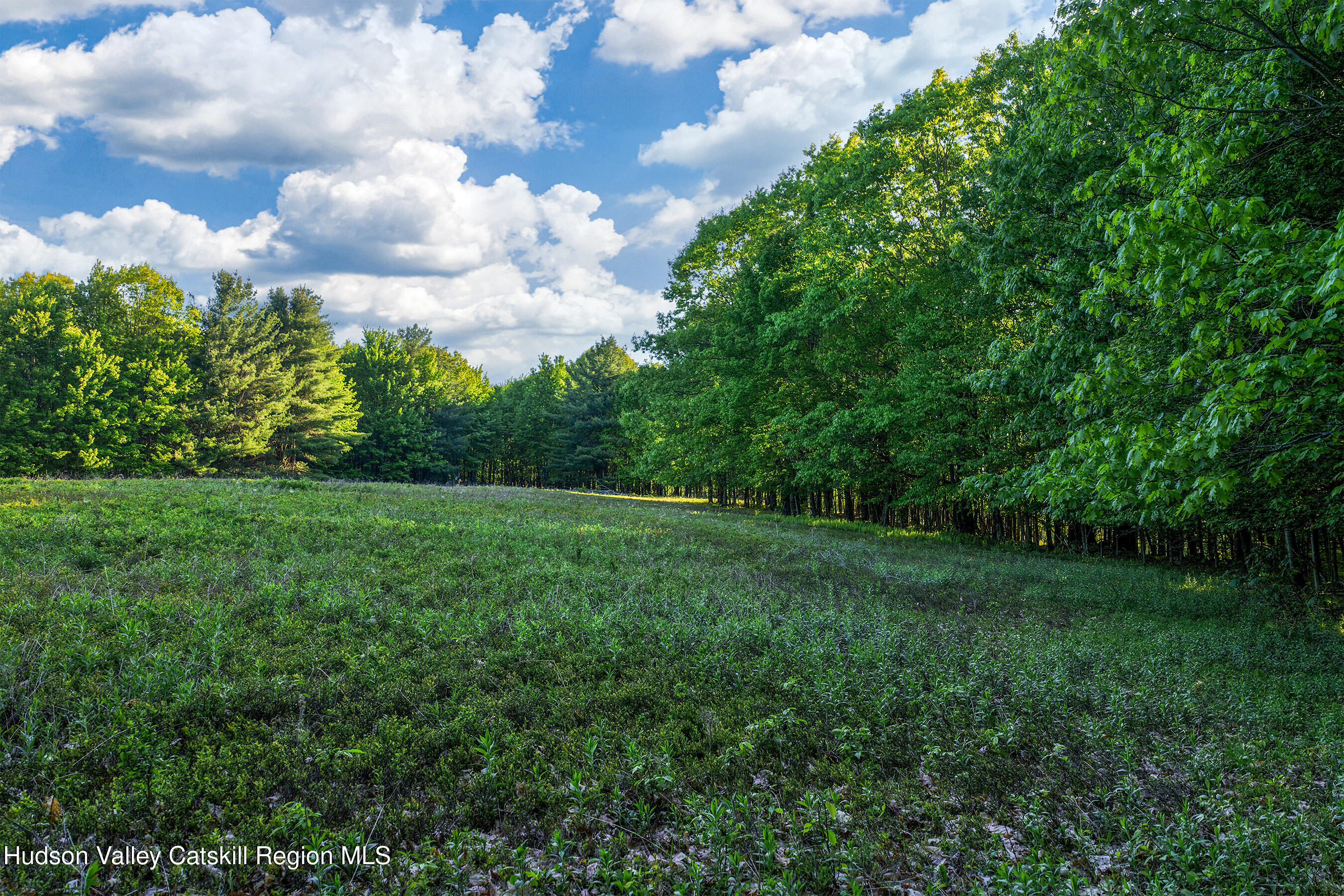 0 Frank Slawson Road Oneonta, NY 13820 - Photo 11 of 29 DJI_20260603071605_0508_D-Edit-Edit