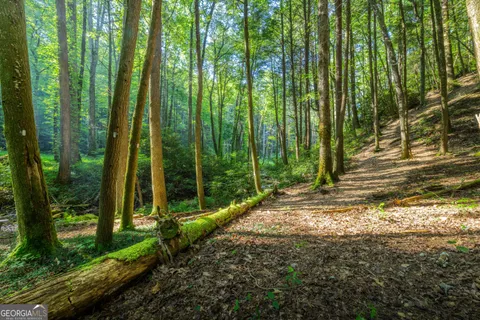 a picture of street view