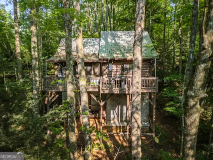 a view of a lush green forest