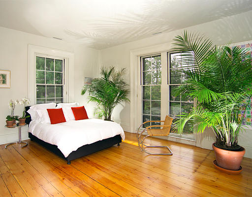 180 Moss Hill Road Boston, MA 02130 - Photo 8 of 9 a living room with furniture and a potted plant