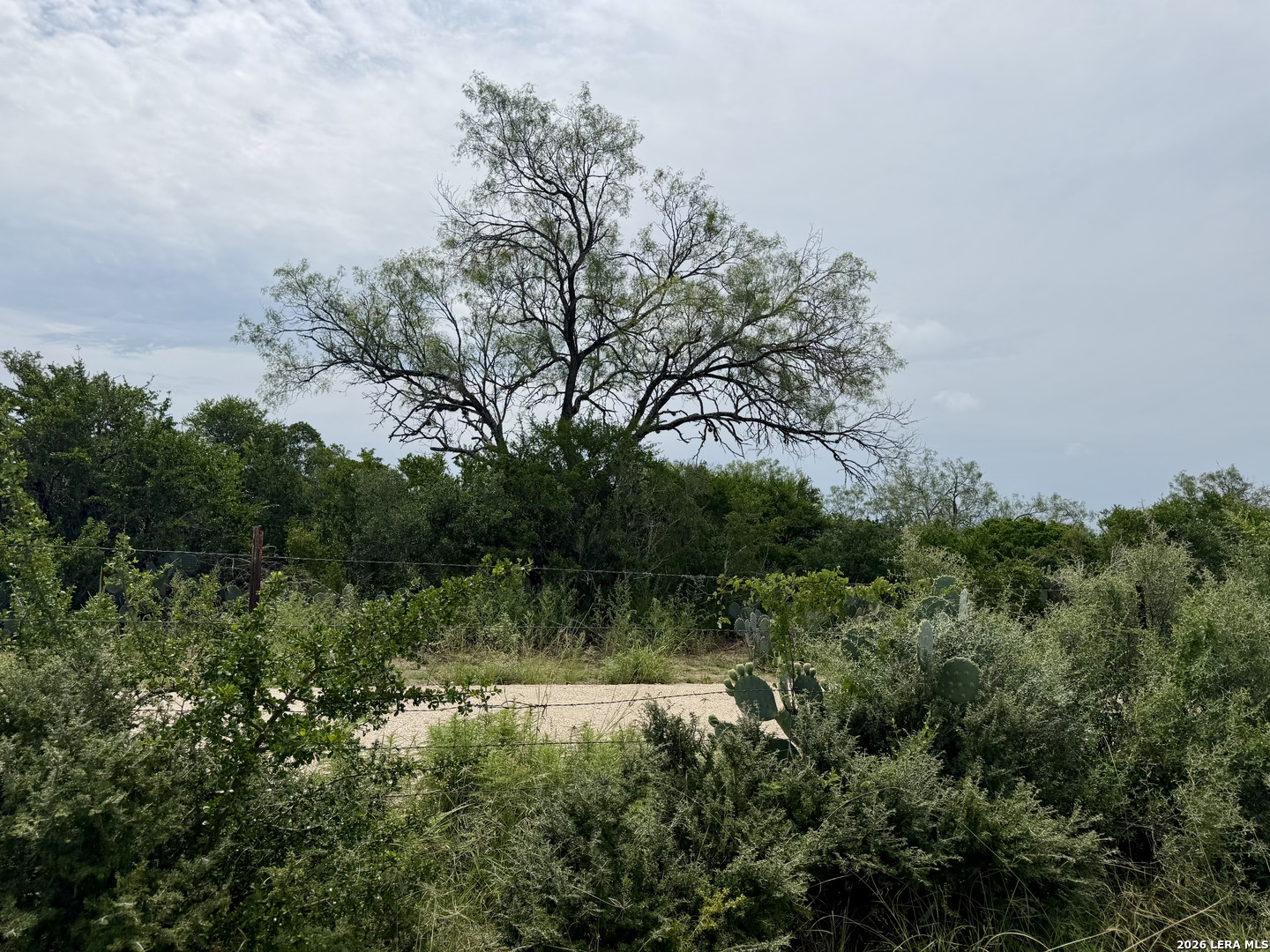 2018 Strawberry City Road Poteet, TX 78065 - Photo 9 of 10