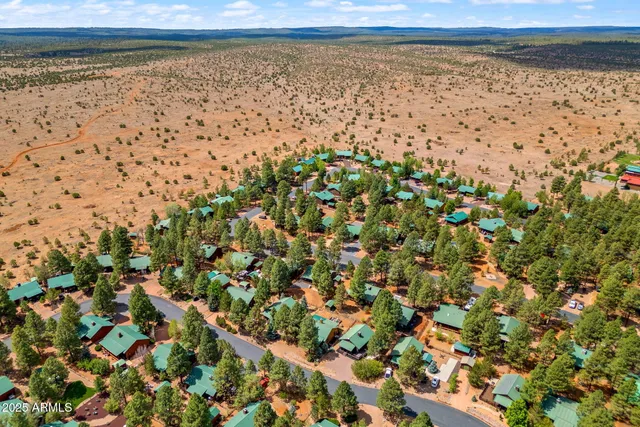 a view of a lot of trees and houses