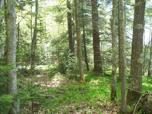 1010 Kling Road Presque Isle, WI 54557 - Photo 1 of 8 Gallery Image 1
