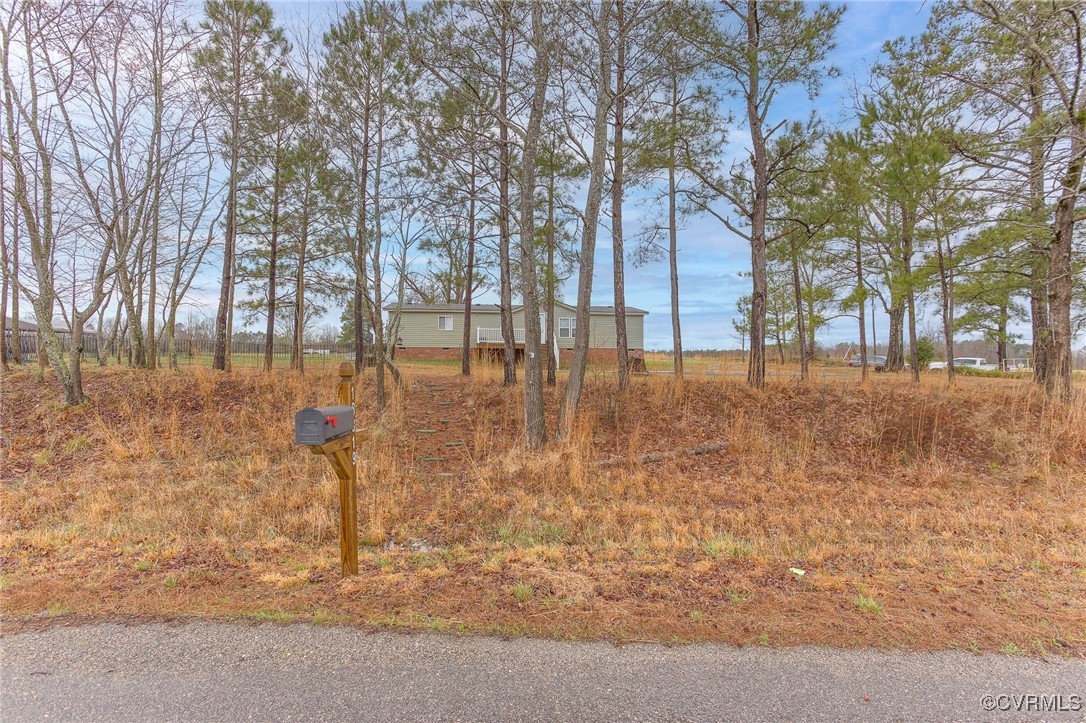 18819 Branchs Road Dinwiddie, VA 23841 - Photo 35 of 50 a backyard of a house with lots of green space