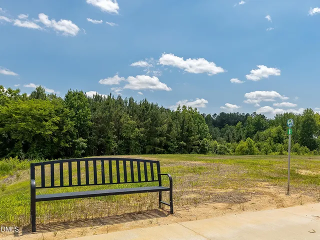 a view of a swimming pool and trees in the background