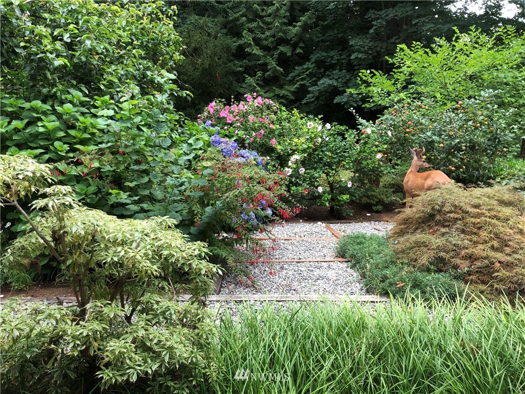 17426 Southeast May Valley Road Renton, WA 98059 - Photo 13 of 19 a view of a garden with plants