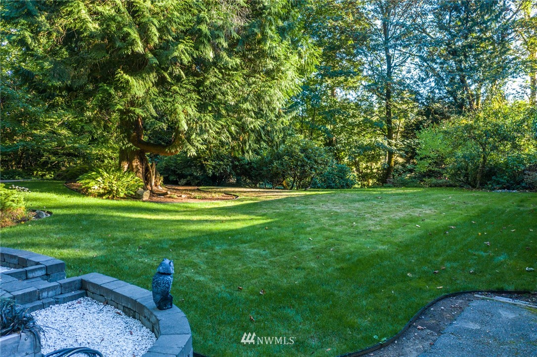 17426 Southeast May Valley Road Renton, WA 98059 - Photo 16 of 19 a view of a park with a tree in the grass
