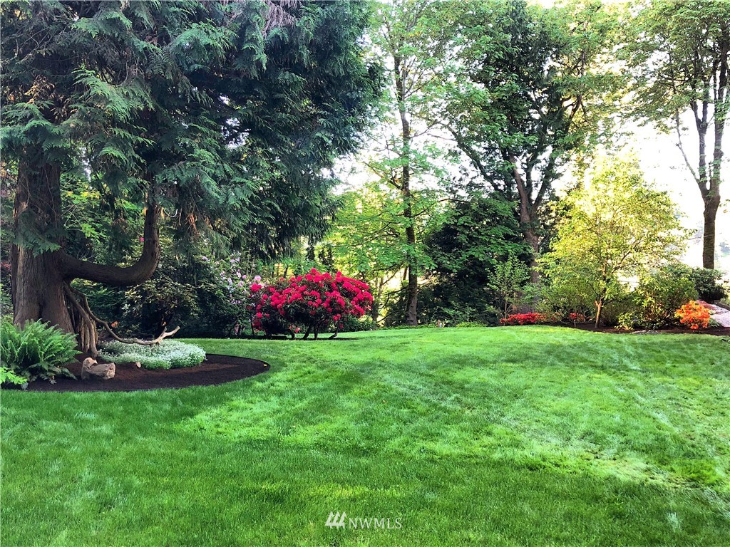 17426 Southeast May Valley Road Renton, WA 98059 - Photo 17 of 19 a small garden covered with tall trees
