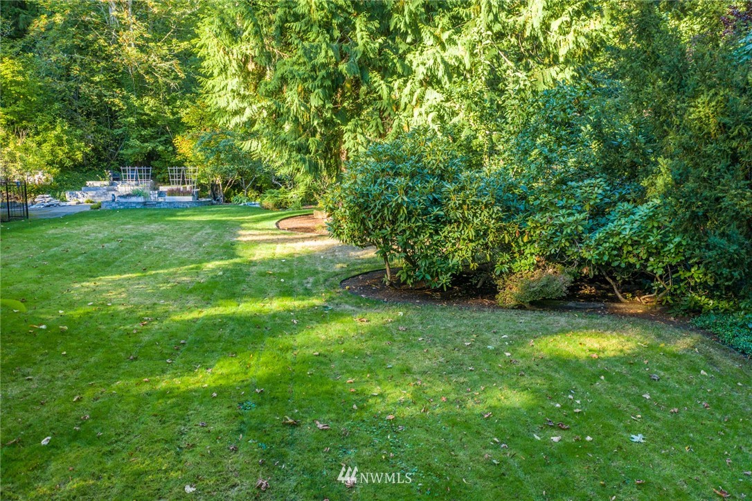 17426 Southeast May Valley Road Renton, WA 98059 - Photo 19 of 19 a view of a trees with a big yard
