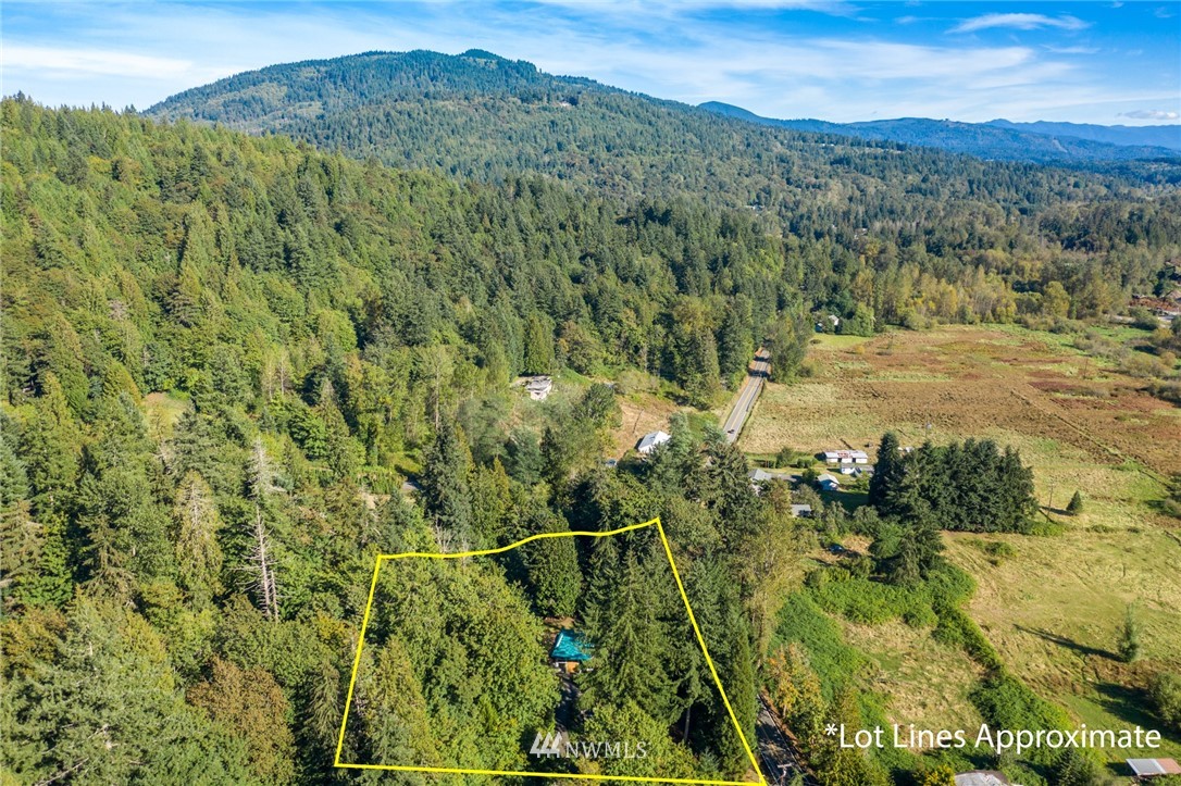 17426 Southeast May Valley Road Renton, WA 98059 - Photo 3 of 19 a view of a lush green hillside and a mountain