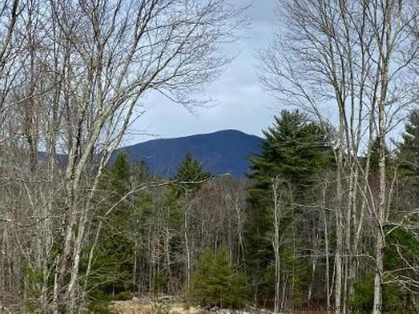 194 Lower Sahler Mill Road Olivebridge, NY 12461 - Photo 4 of 16 a view of a building