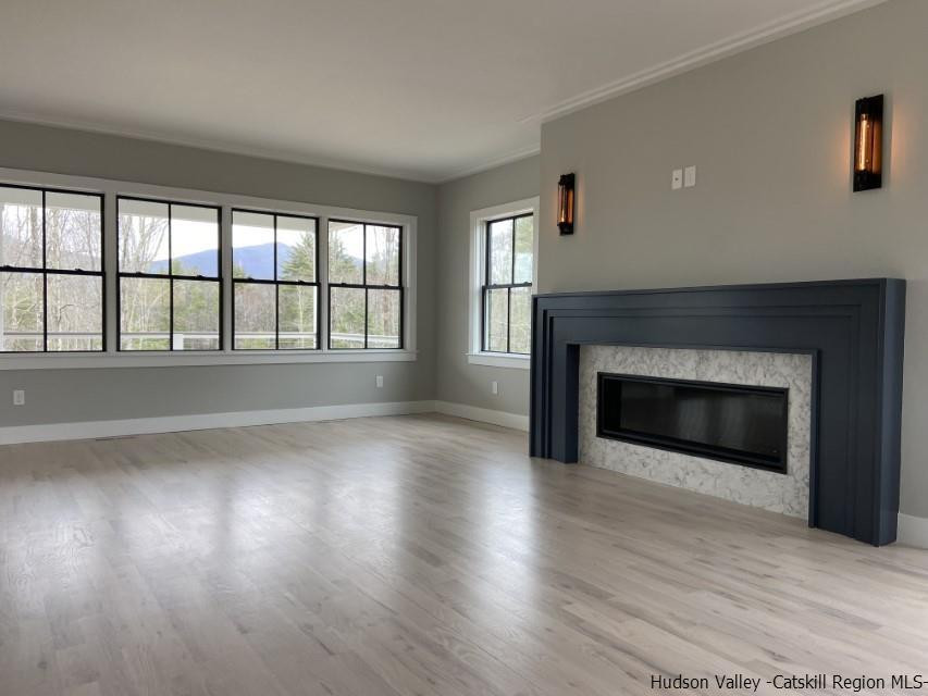 194 Lower Sahler Mill Road Olivebridge, NY 12461 - Photo 10 of 16 a view of an empty room with wooden floor and a fireplace