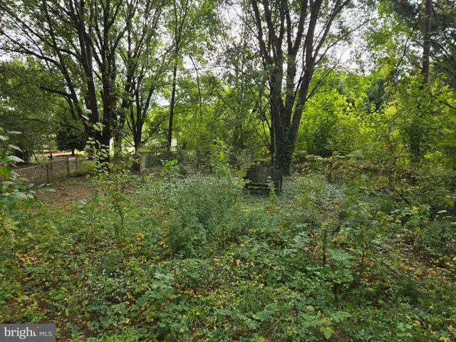 a view of outdoor space and trees all around