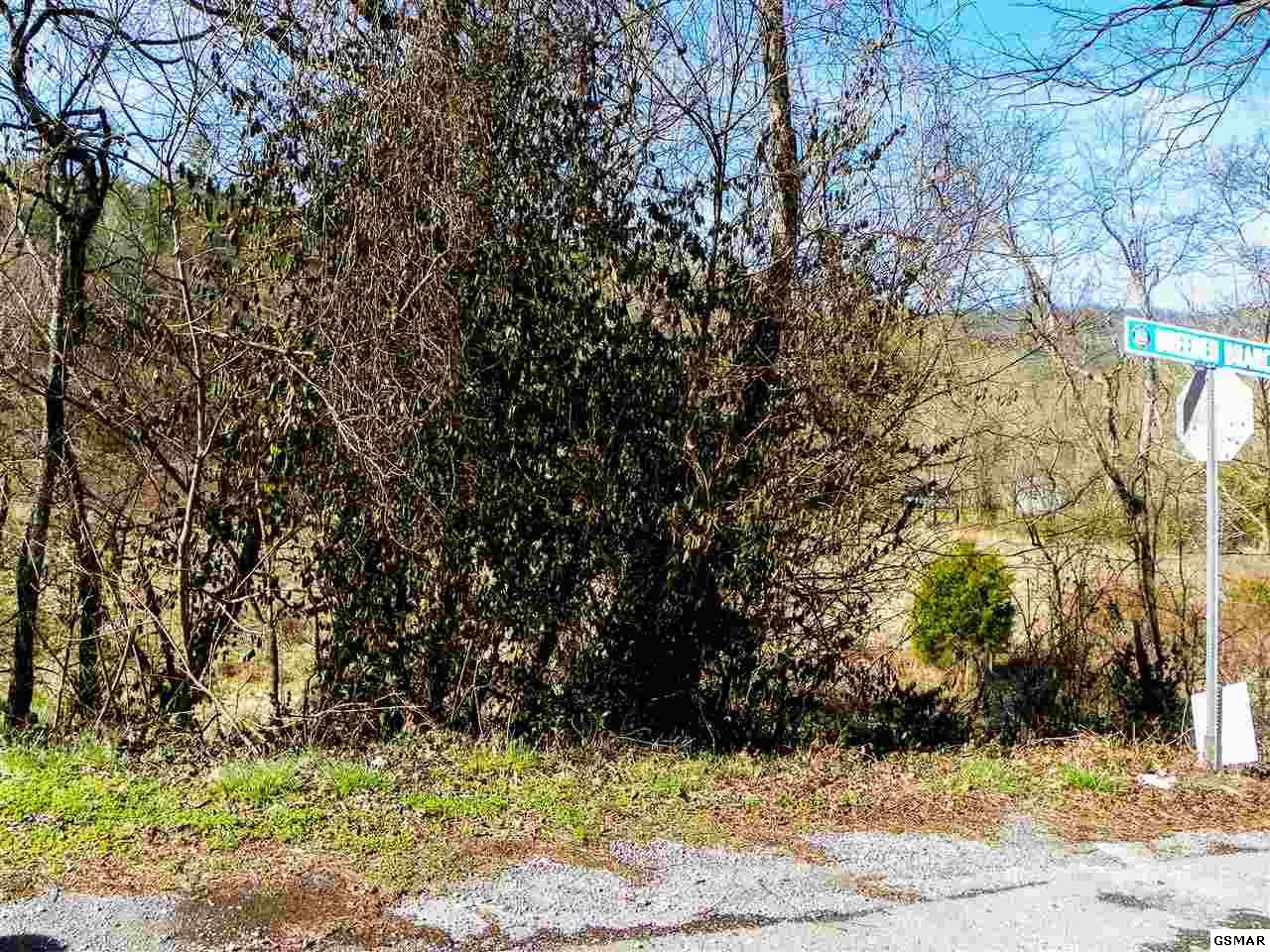 4957 Wilhite Road Sevierville, TN 37876 - Photo 7 of 9