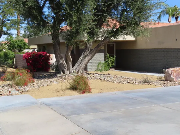 a view of backyard of house
