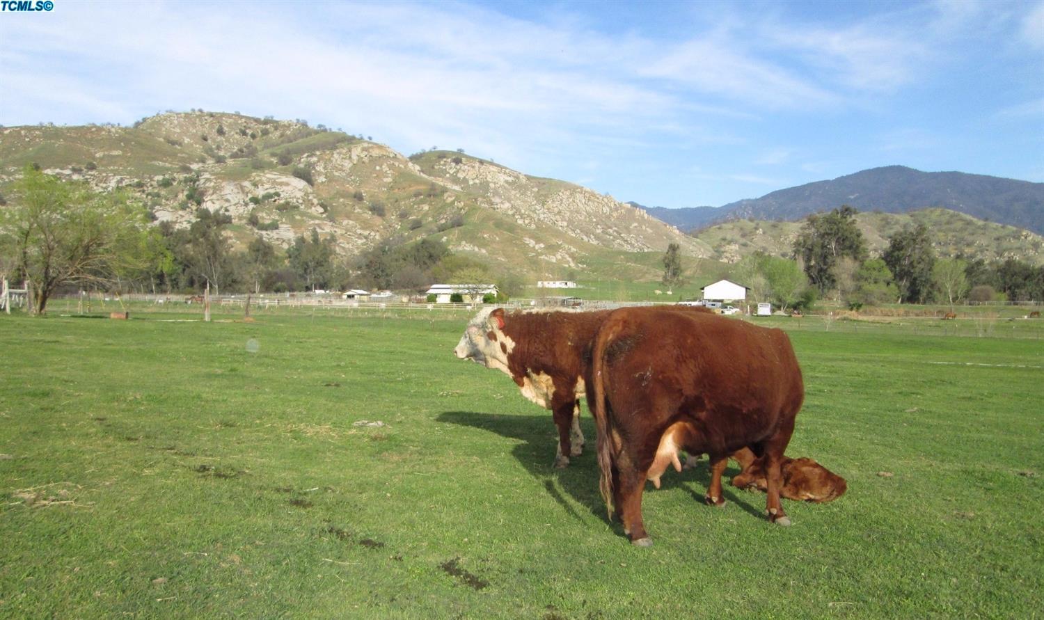 17804 320th Road Springville, CA 93265 - Photo 1 of 5 Primary Photo