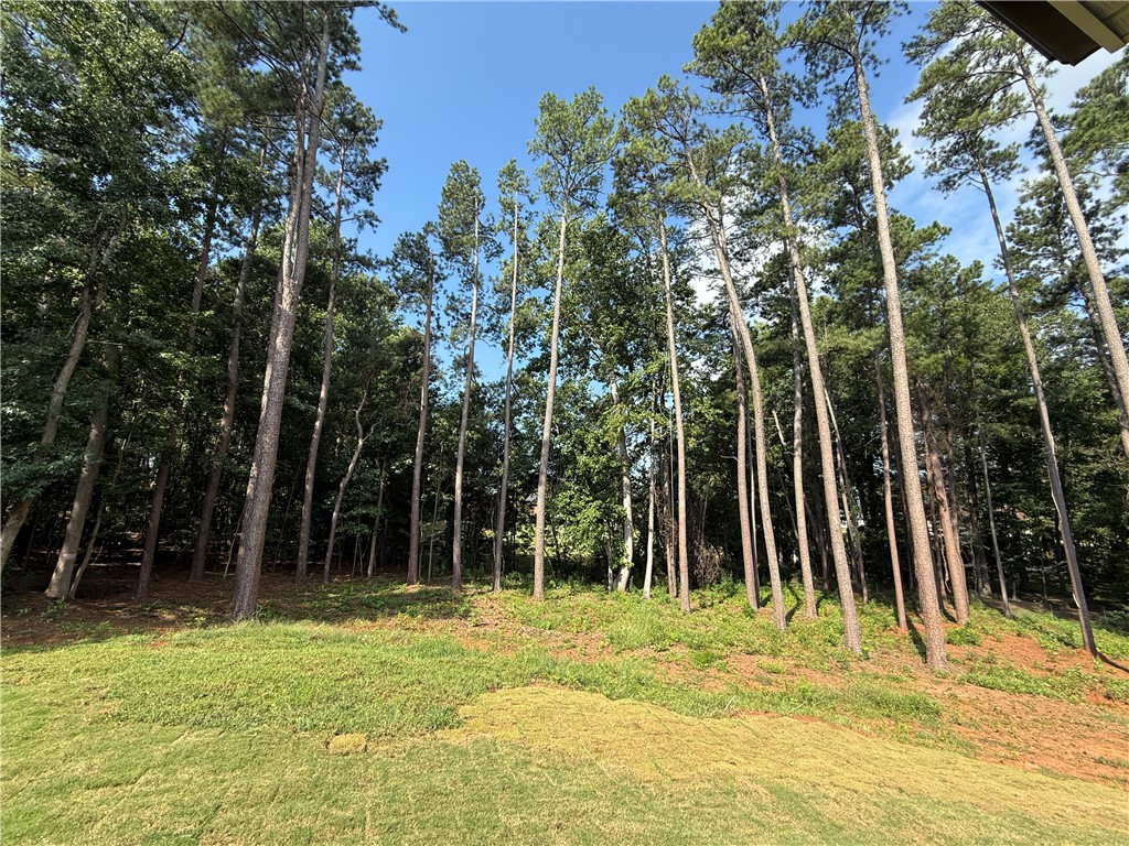 115 Century Court Pendleton, SC 29670 - Photo 27 of 31