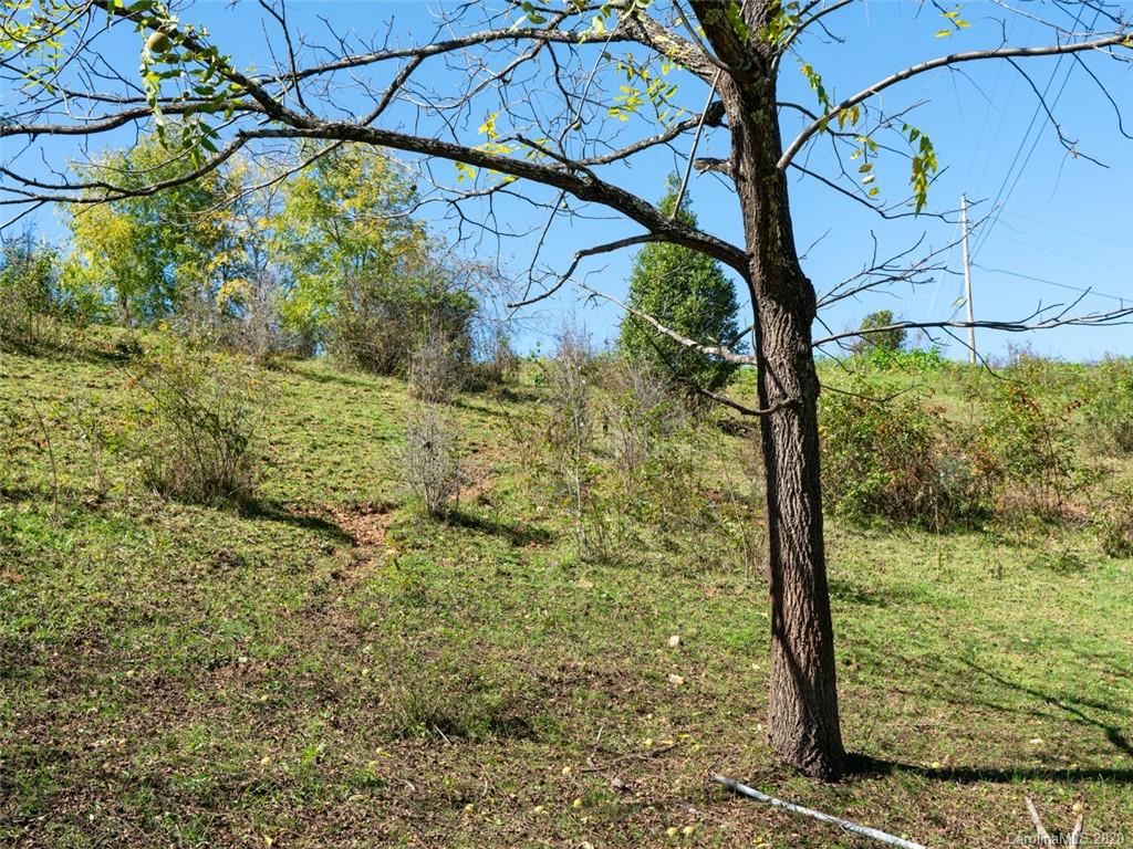 41 Jordan Branch Road Mars Hill, NC 28754 - Photo 8 of 20 Gallery Image 8