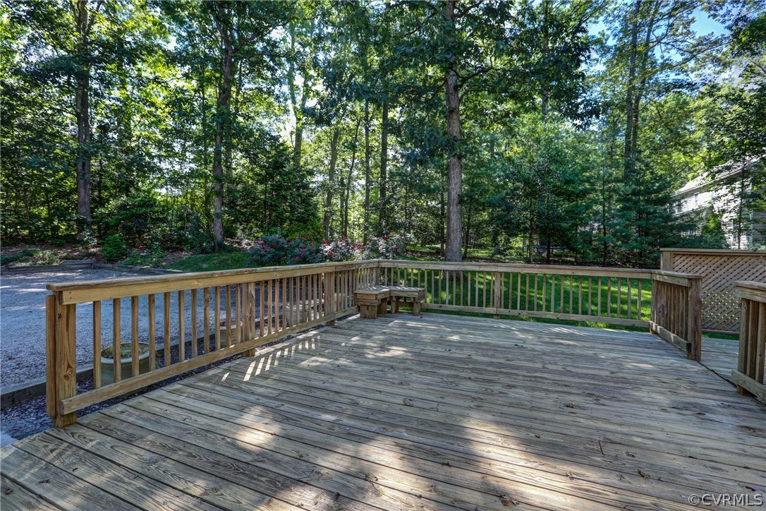 825 Castle Hollow Road Midlothian, VA 23114 - Photo 9 of 34