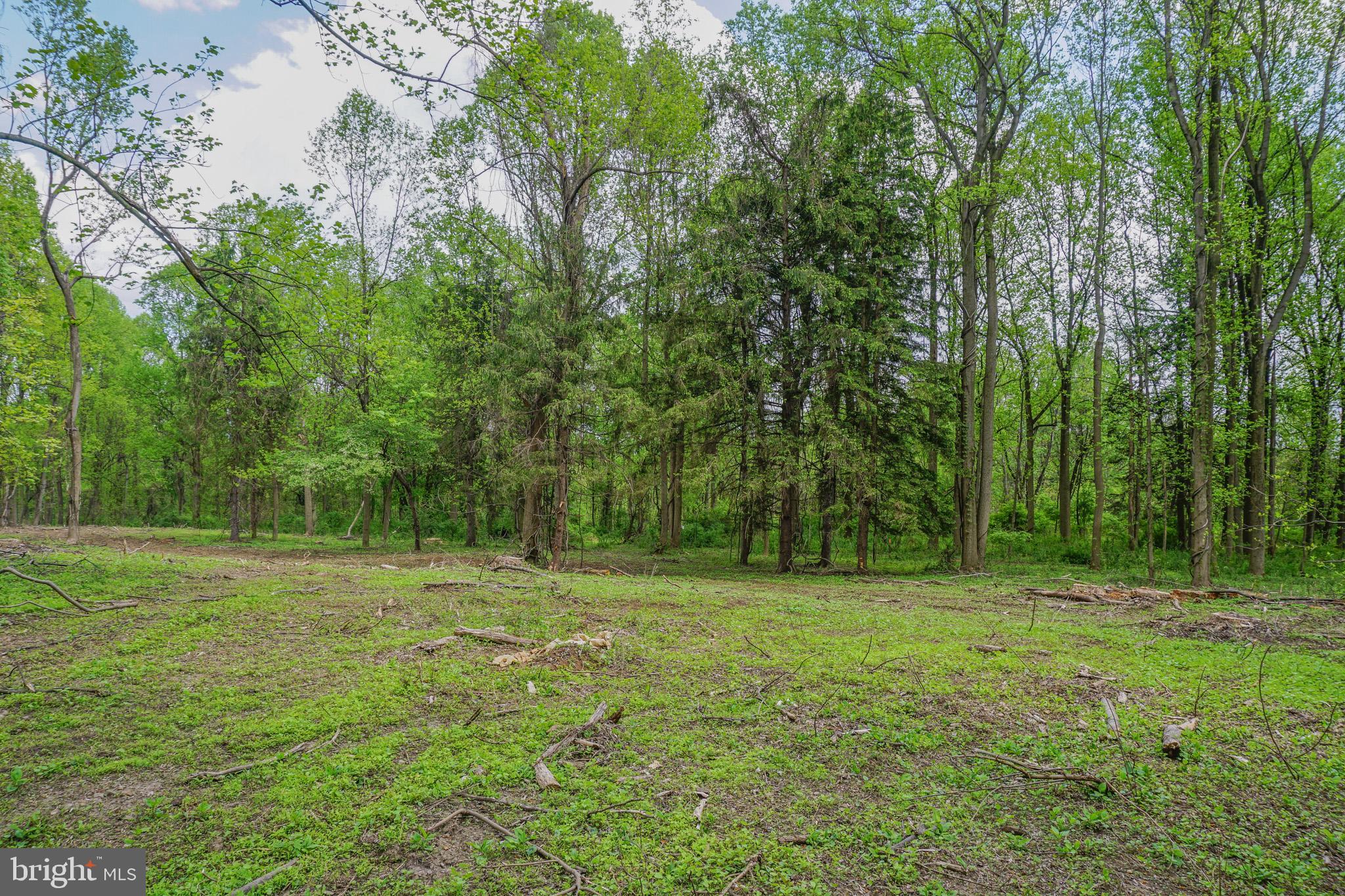 0 Old York Road New Cumberland, PA 17070 - Photo 26 of 38 Gallery Image 26
