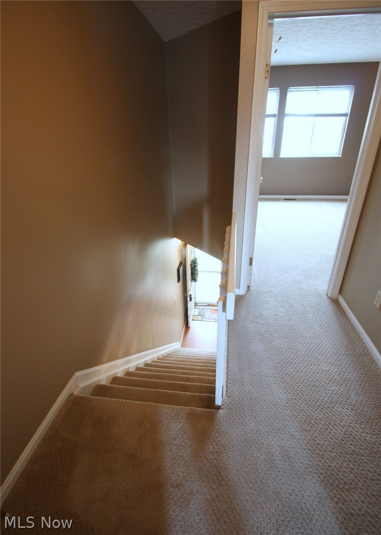 1239 Canyon View Road Northfield, OH 44067 - Photo 20 of 24 Gallery Image 20