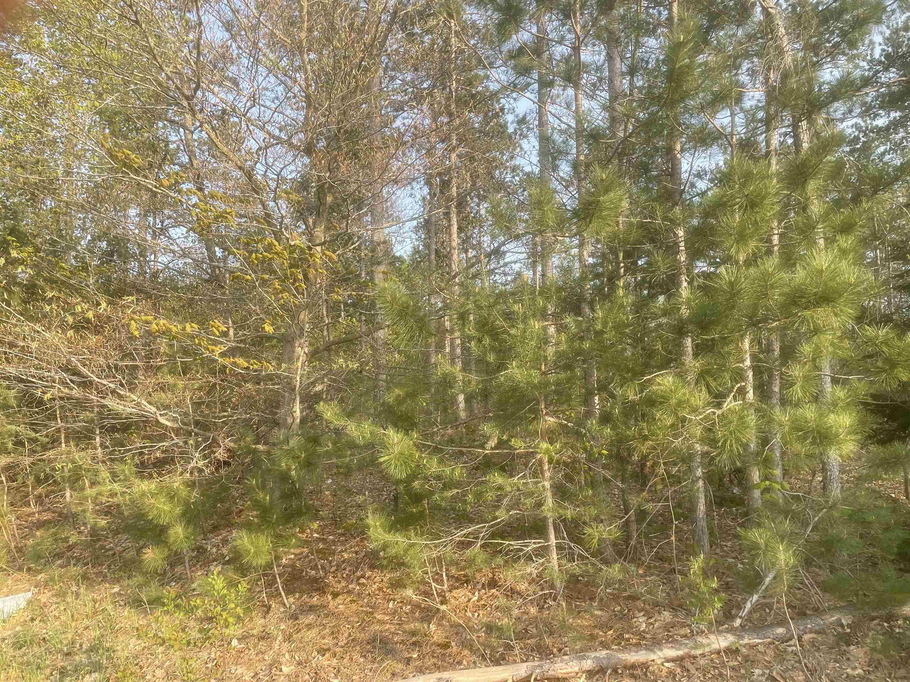 Lot I Lot I Riley, Unit LOT: I Interlochen, MI 49643 - Photo 5 of 5
