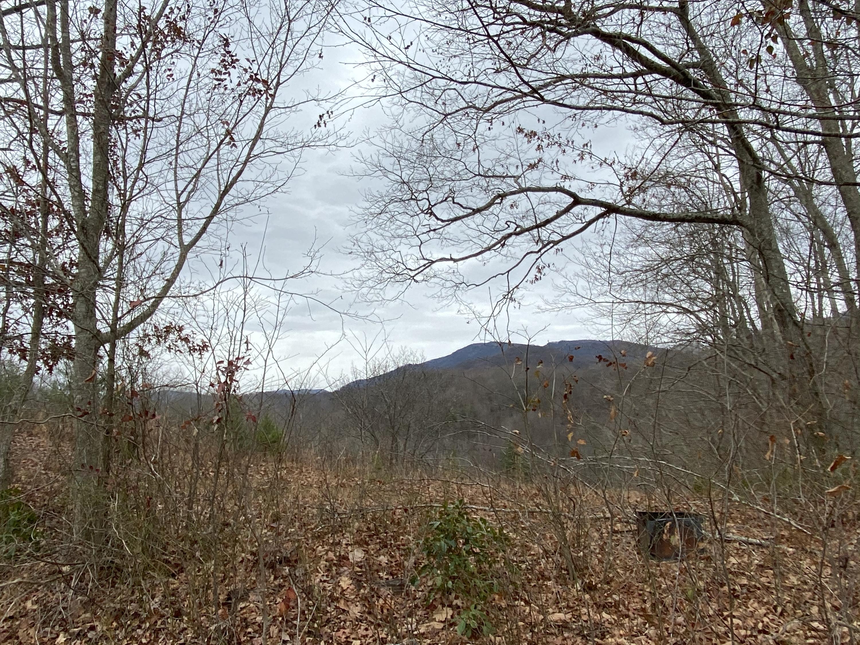 518 Ray Simerly Road, Unit 1 Hampton, TN 37658 - Photo 1 of 8 1