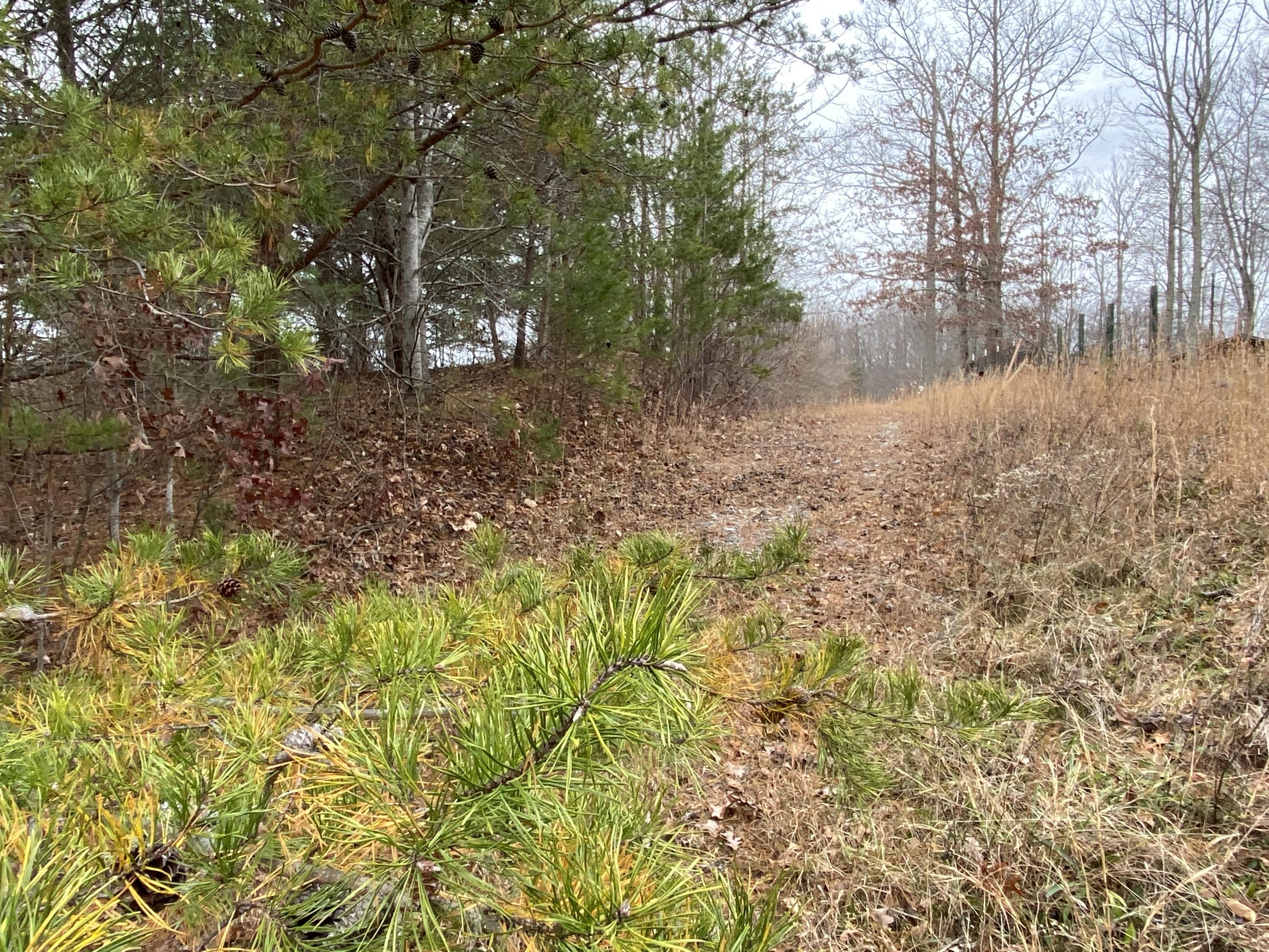518 Ray Simerly Road, Unit 1 Hampton, TN 37658 - Photo 3 of 8 3
