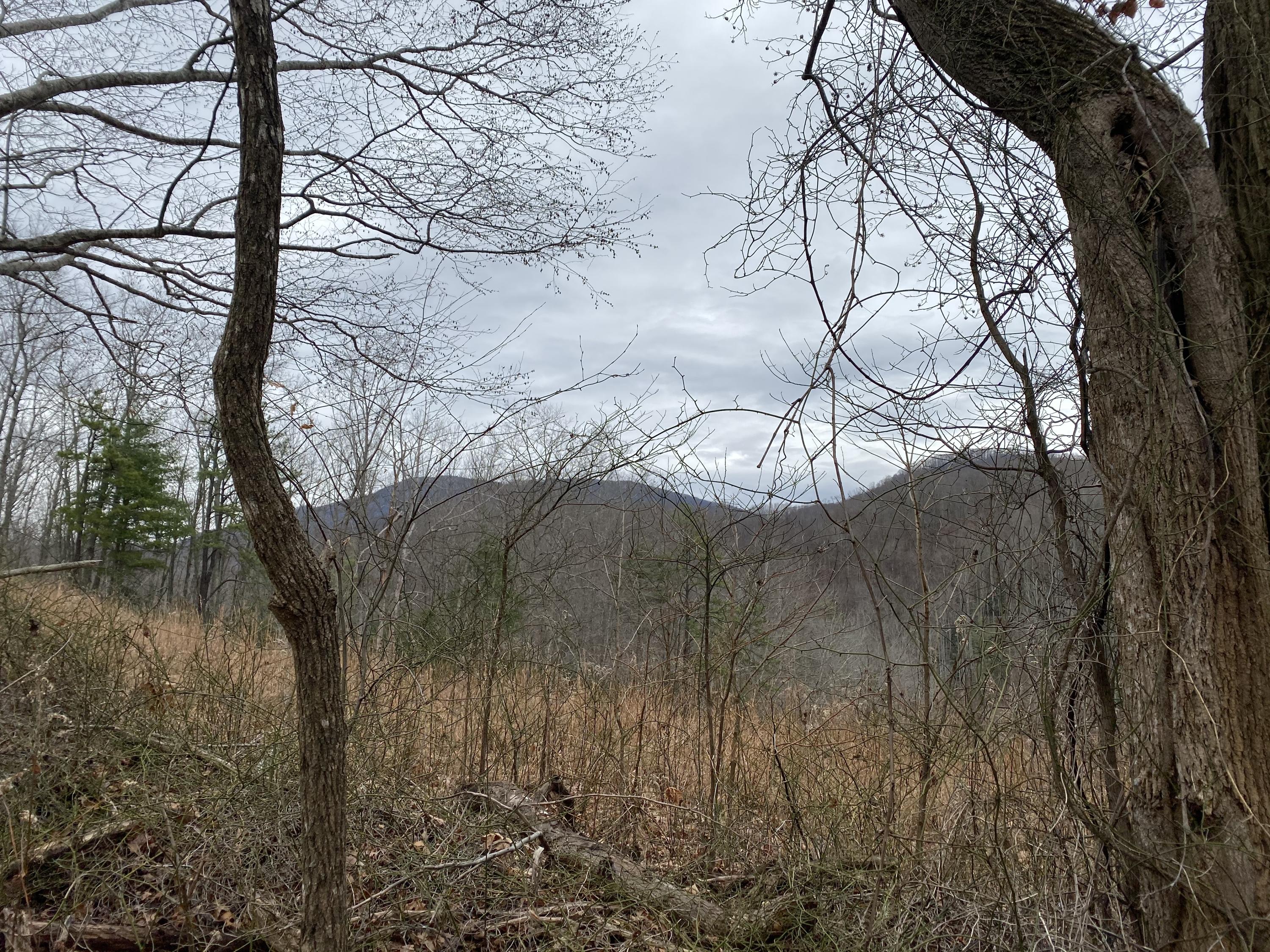 518 Ray Simerly Road, Unit 1 Hampton, TN 37658 - Photo 7 of 8 7