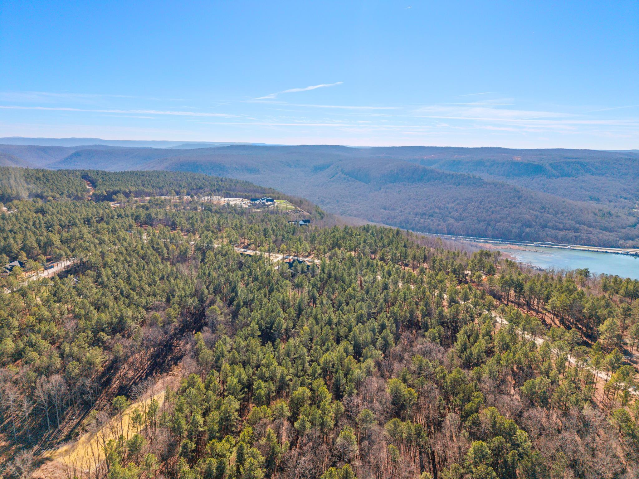 0 Buck Crossing Drive, Unit 1024 Guild, TN 37340 - Photo 5 of 12 1024 6