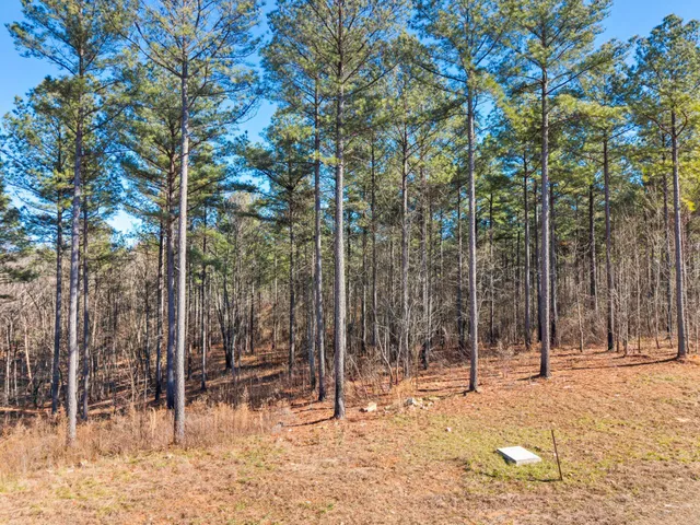 $199,900 | 0 Buck Crossing Drive, Unit 1024, Guild, TN 37340