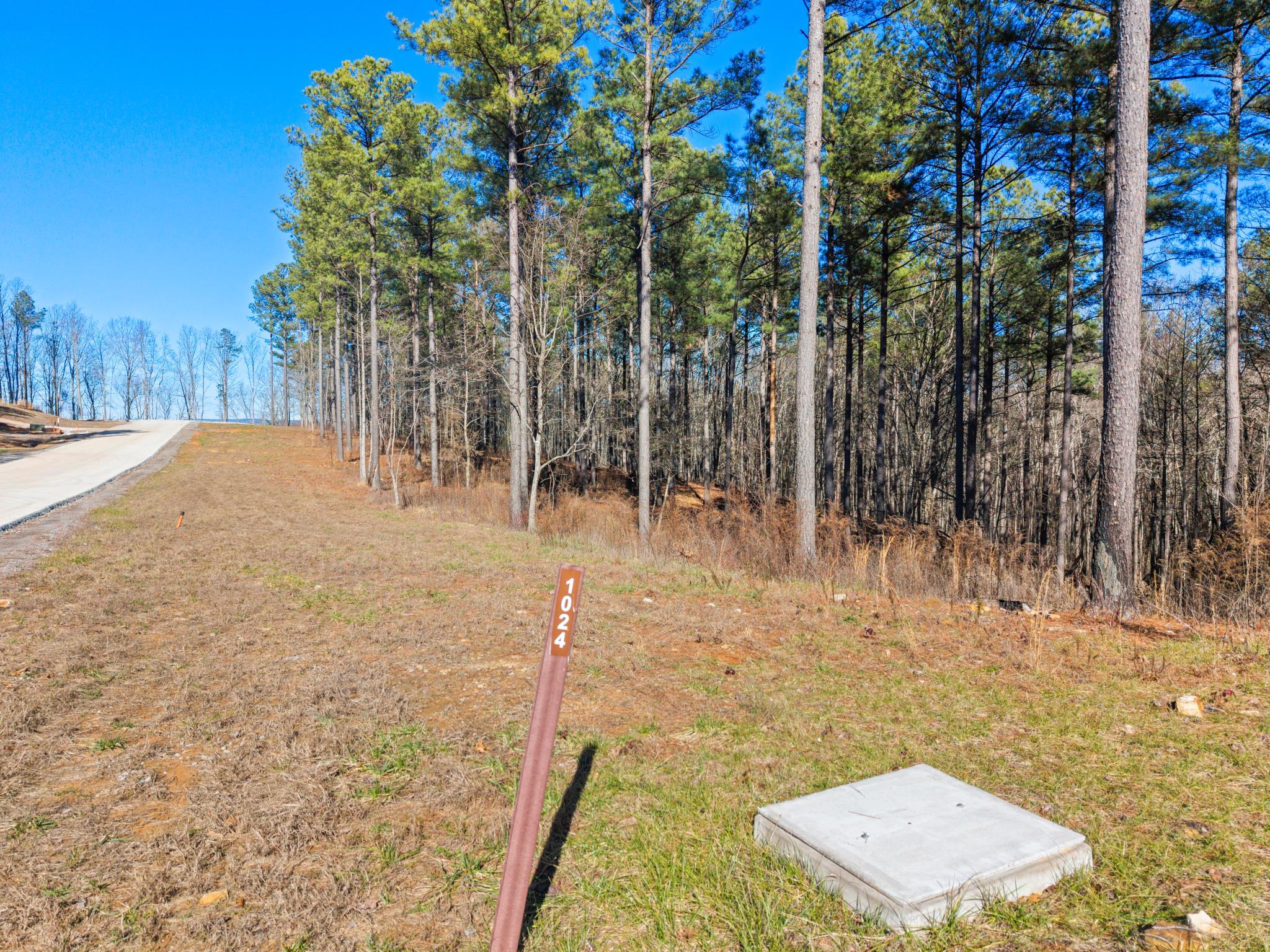 0 Buck Crossing Drive, Unit 1024 Guild, TN 37340 - Photo 7 of 12 1024 9