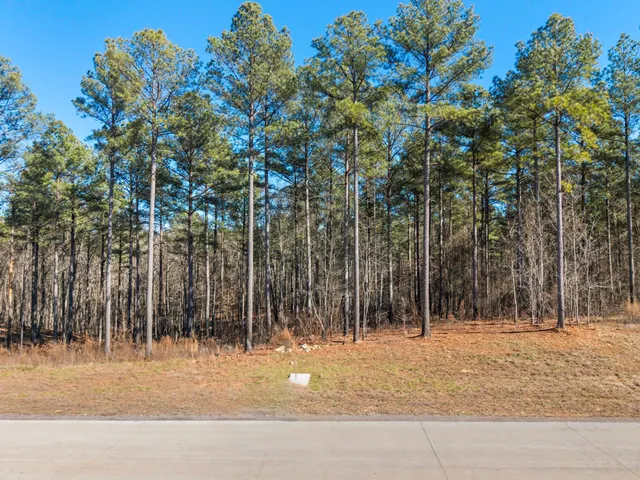 $199,900 | 0 Buck Crossing Drive, Unit 1024, Guild, TN 37340