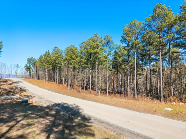 $199,900 | 0 Buck Crossing Drive, Unit 1024, Guild, TN 37340