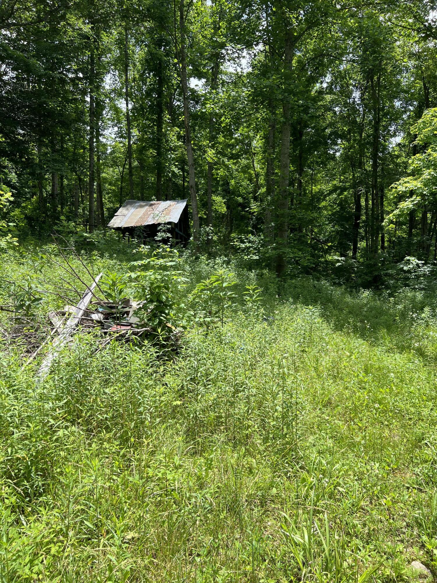 393 Amos Baker Road McKee, KY 40447 - Photo 2 of 5 73F2104E-A873-4909-8189-D3F4DE57D3F6