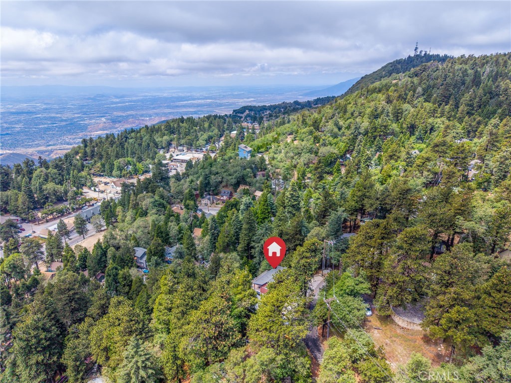 1134 Scenic Way Rimforest, CA 92378 - Photo 32 of 37 Simply Amazing!