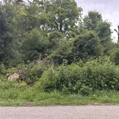 a view of outdoor space with lots of trees
