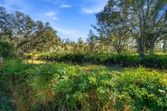 $1,100,000 | 10526 Cory Lake Drive, Tampa, FL 33647