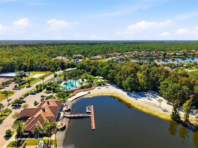 $1,100,000 | 10526 Cory Lake Drive, Tampa, FL 33647