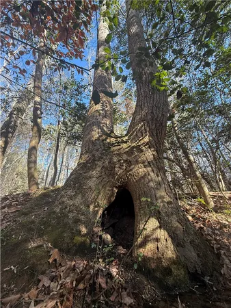 $129,900 | 110 Watt Rogers Road, Pelzer, SC 29669