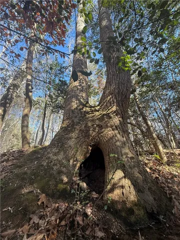 $129,000 | 110 Watt Rogers Road, Pelzer, SC 29669