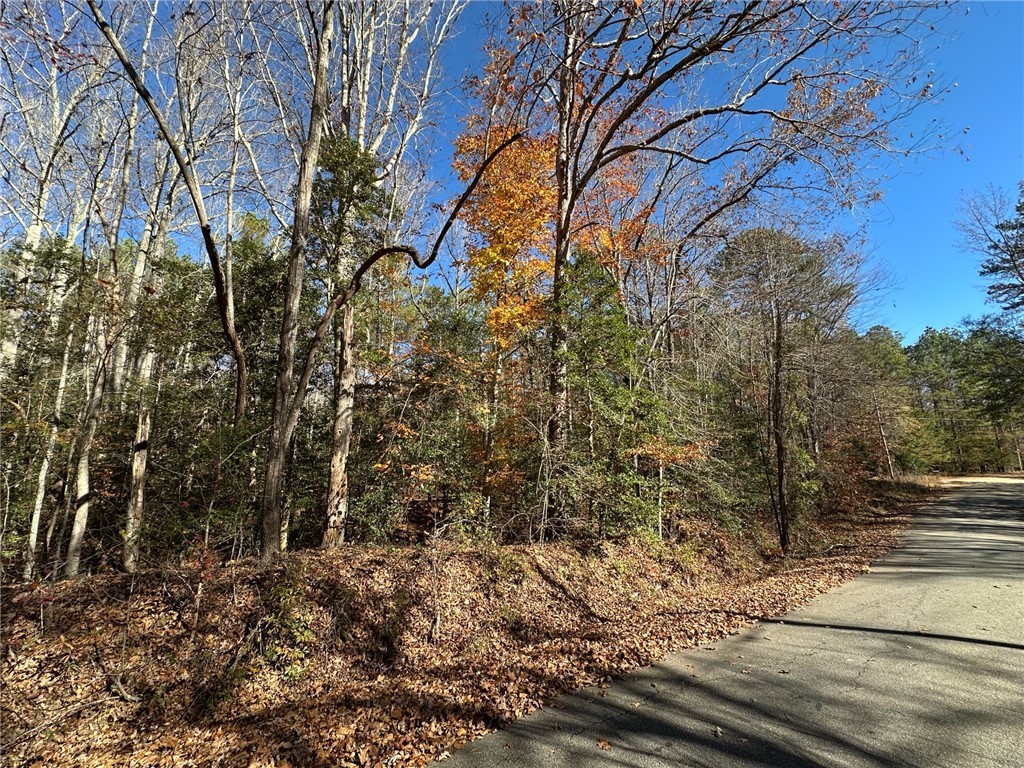 110 Watt Rogers Road Pelzer, SC 29669 - Photo 12 of 16