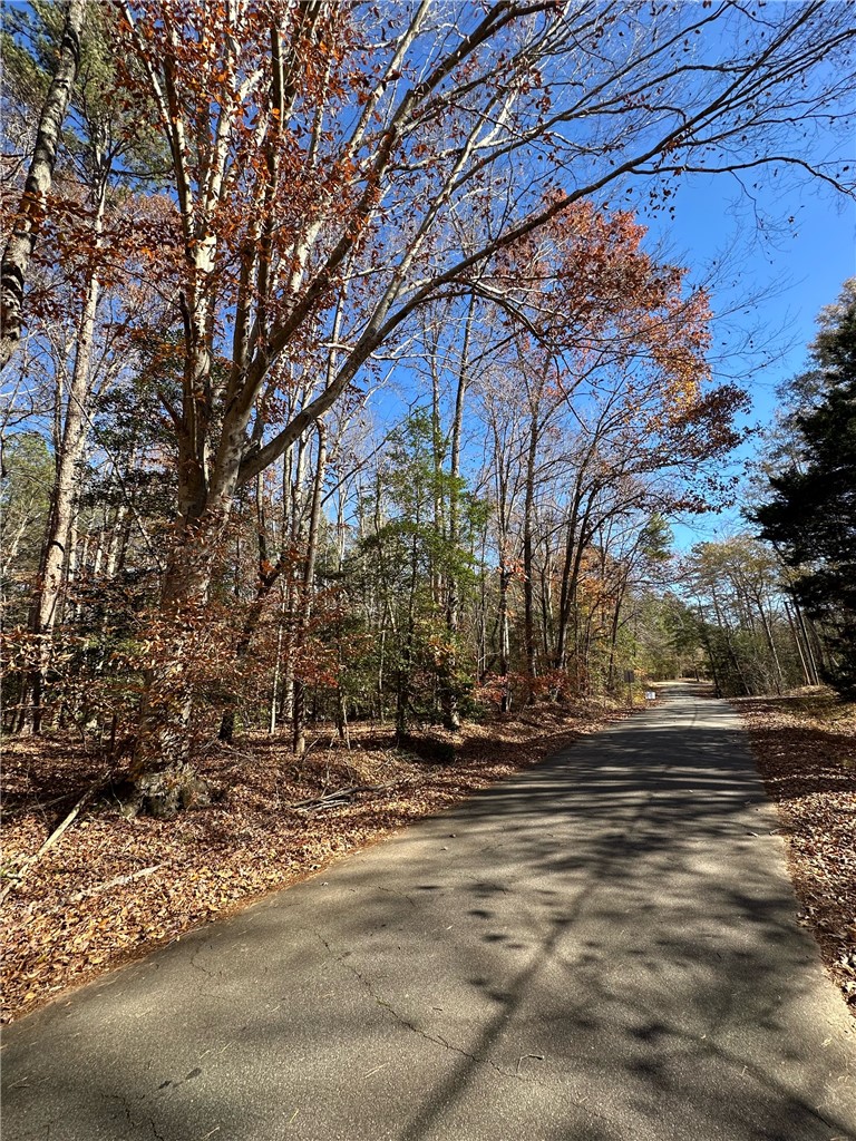 110 Watt Rogers Road Pelzer, SC 29669 - Photo 15 of 16 Gallery Image 15