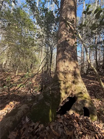 $129,000 | 110 Watt Rogers Road, Pelzer, SC 29669