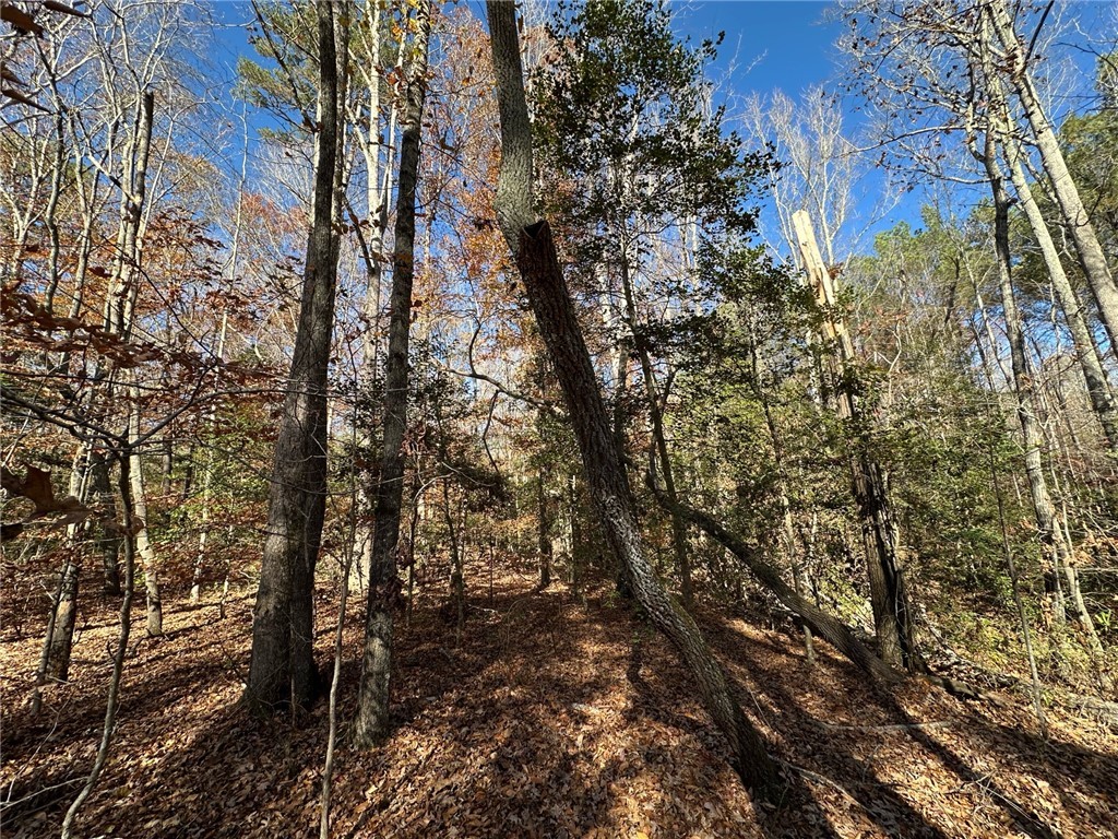 110 Watt Rogers Road Pelzer, SC 29669 - Photo 3 of 16