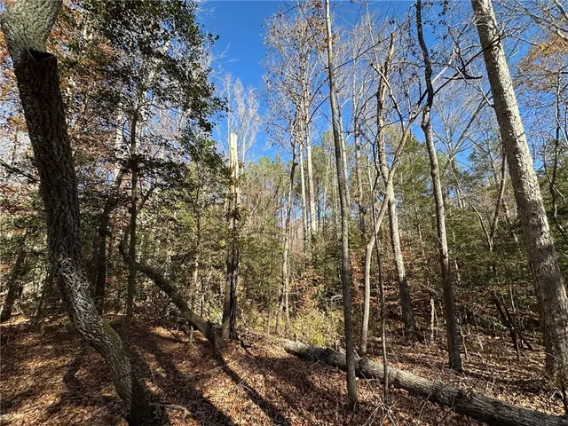 $129,000 | 110 Watt Rogers Road, Pelzer, SC 29669