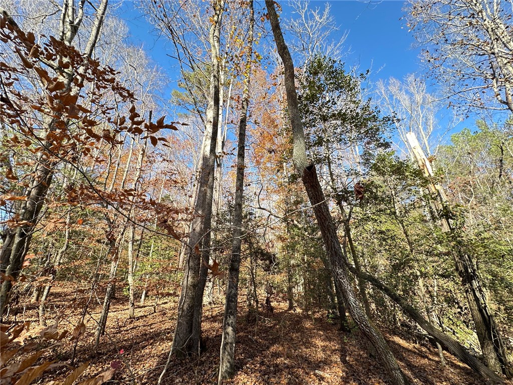 110 Watt Rogers Road Pelzer, SC 29669 - Photo 6 of 16 Gallery Image 6