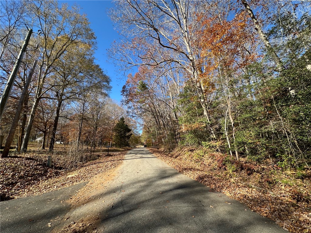 110 Watt Rogers Road Pelzer, SC 29669 - Photo 9 of 16