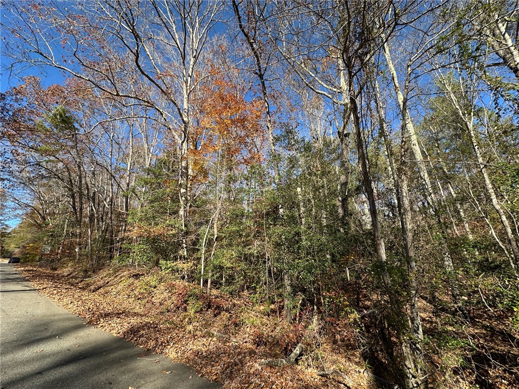 110 Watt Rogers Road Pelzer, SC 29669 - Photo 10 of 16 Gallery Image 10