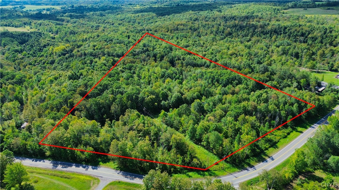 Lot 5-5 Paines Hollow Road Mohawk, NY 13407 - Photo 4 of 8